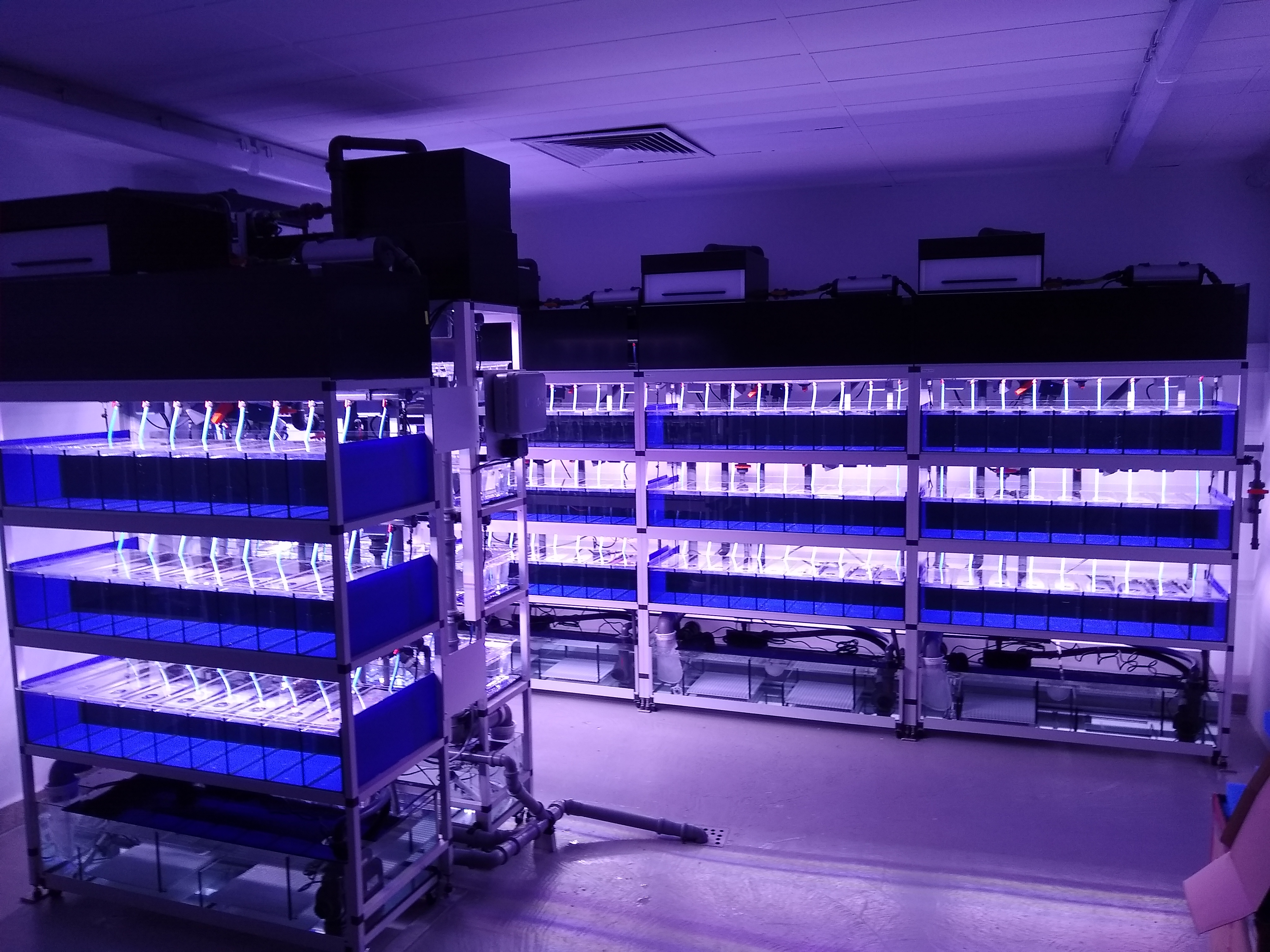 Aquatic research facility with several illuminated tank racks